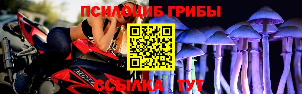 Екатеринбург  Псилоцибиновые грибы Psilocybine cubensis  Псилоцибиновые грибы Cubensis  Вход с VPN 